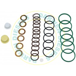 2417010018 Spaco PE6P Plunger Block Kit